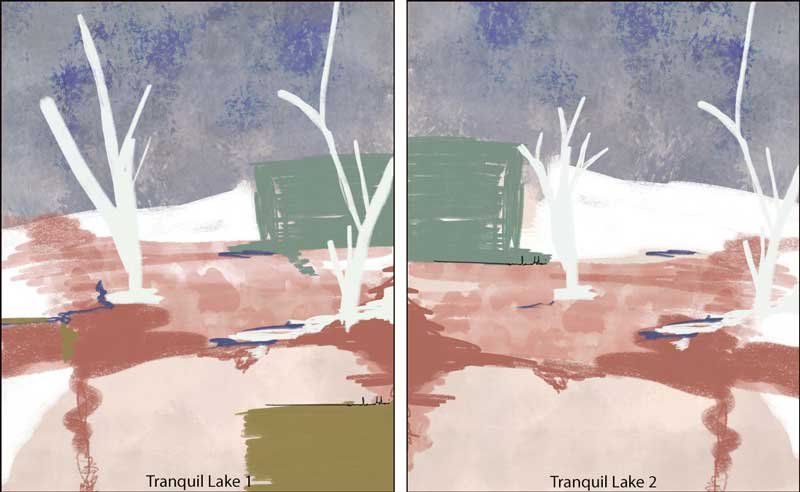 Tranquil Lake Design Options